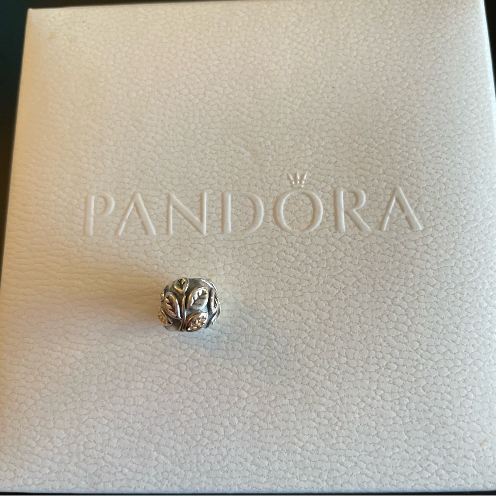 Pandora Charm